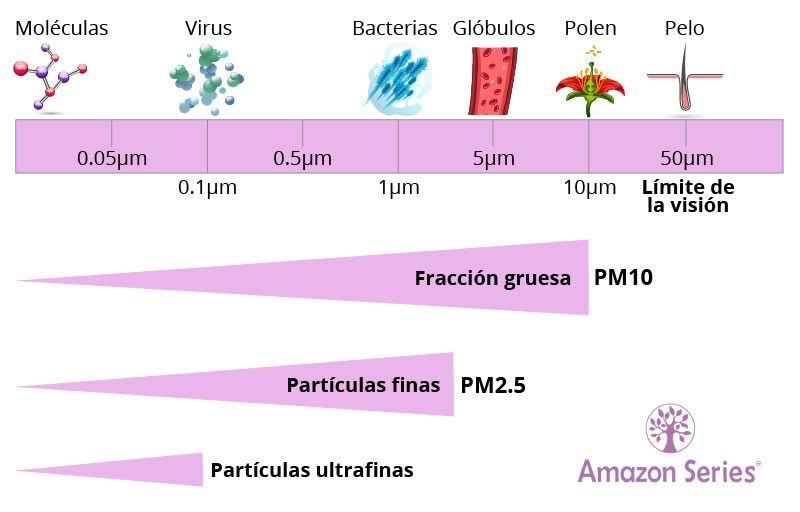 clasificacion particulas